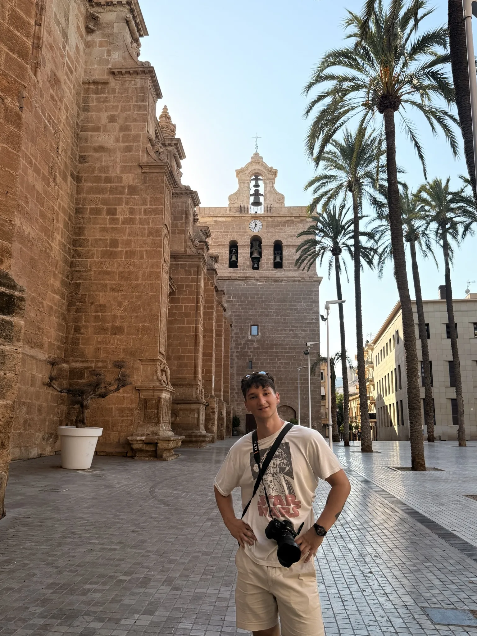 A traveller in a sunlit street lined with stone buildings and palm trees