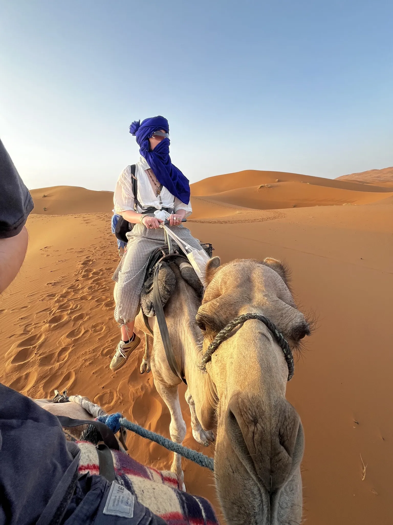 A camel rider in a blue headscarf among golden desert dunes