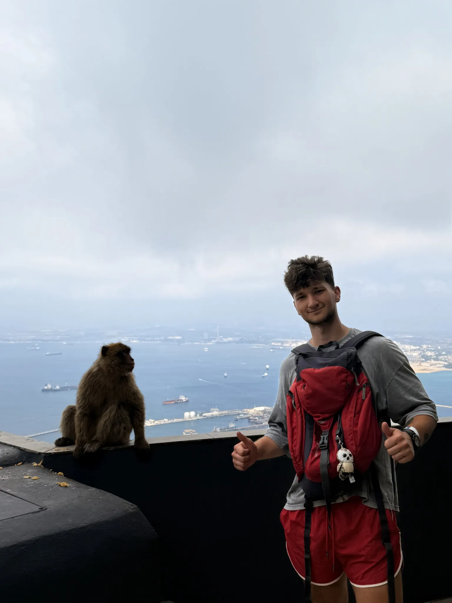 A hiker with a red backpack standing near a monkey on a viewpoint wall